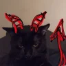 urdreamatter